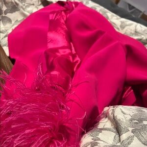 Zara Pink Blazer with Feather Detail